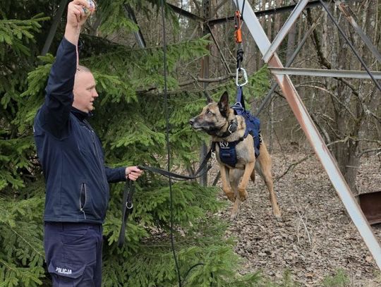 Starogardzki przewodnik i pies Nel na elitarnym szkoleniu TROPIK-9