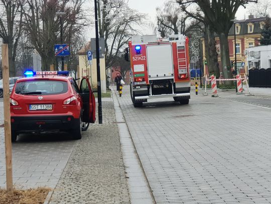 Strażacy interweniowali na Alei Wojska Polskiego. Co się stało?