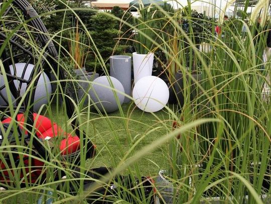 Stu Wystawców w ósmej edycji kiermaszu ogrodniczego „Jesień w ogrodzie”