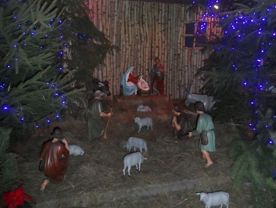Szopka bożonarodzeniowa w kościele św. Mateusza
