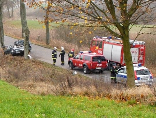 Tragiczny wypadek pod Bobowem, zginęła 19-letnia dziewczyna  