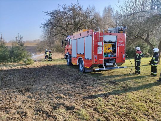 Tylko w tym roku strażacy interweniowali blisko 50 razy! Pomyśl - nie wypalaj! 