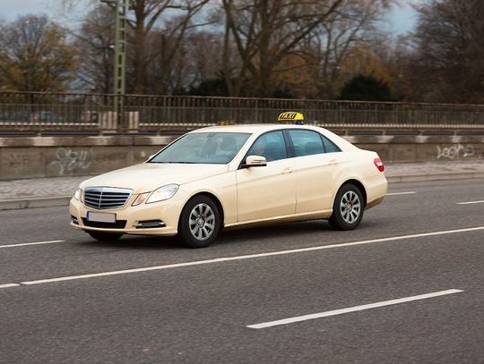 Ukochany zwierzak w taksówce?