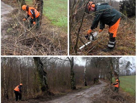W gminie Zblewo trwa wycinka przydrożnych krzaków i niebezpiecznych gałęzi