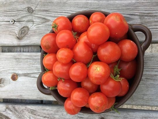 Warsztaty kulinarne dla rodziców z dziećmi 