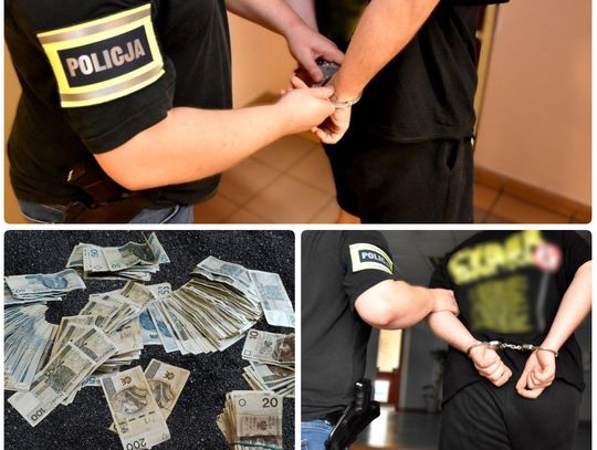 [WIDEO] Policjanci przejęli ponad 3 kilogramy zabronionych w Polsce środków