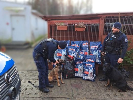 [WIDEO] Policjanci uzbierali 180 kilogramów karmy dla bezdomnych zwierząt