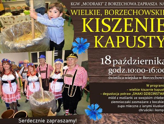 Wielkie Borzechowskie kiszenie kapusty