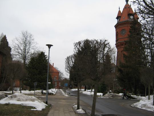 Zabija, aby zapobiec cierpieniom