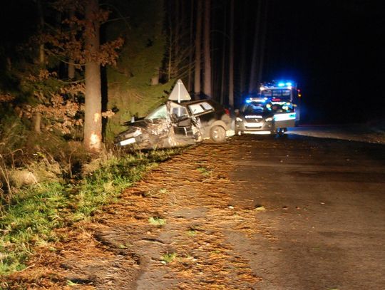 Zakleszczony w aucie. Z impetem uderzył w drzewo