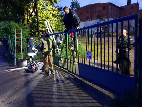 Zbieg z "Browaru" zatrzymany. 30-latek był poszukiwany listem gończym
