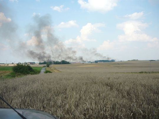 Zboże na polach Dąbrówki w ogniu