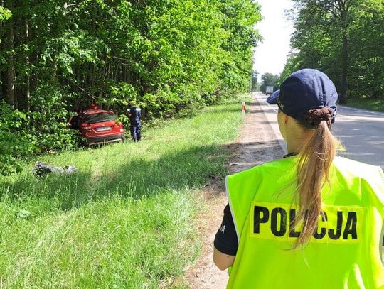 Zderzenie samochodu z łosiem na DK 22. Policjanci apelują o ostrożność