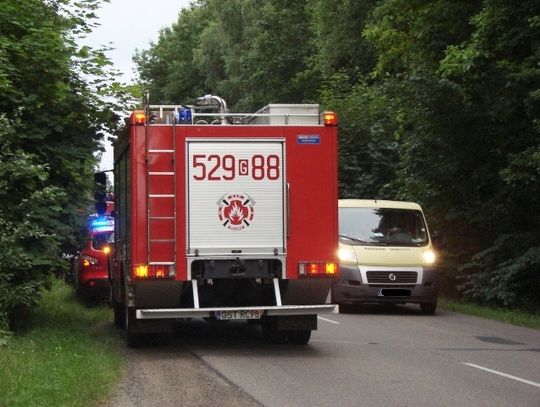 ZDJĘCIA: Motocyklista trafił do szpitala po zderzeniu z jeleniem 