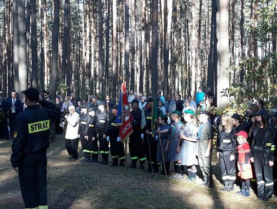 Zginęli z ręki niemieckiego okupanta... W Lesie Zajączek oddali hołd poległym 