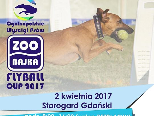 Zoobajka Flyball Cup 2017. Ogólnopolskie Wyścigi Psów