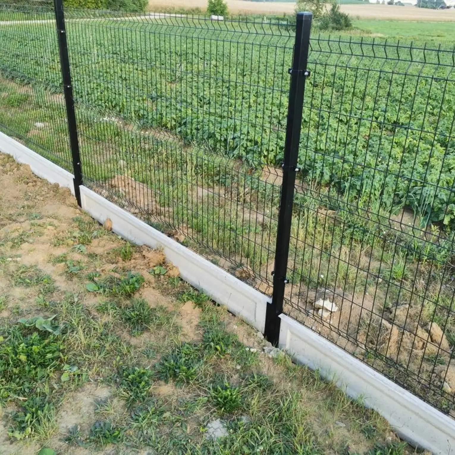 Gdzie kupić ogrodzenie panelowe? Nowy punkt z ogrodzeniami w Sierakowicach  otwar