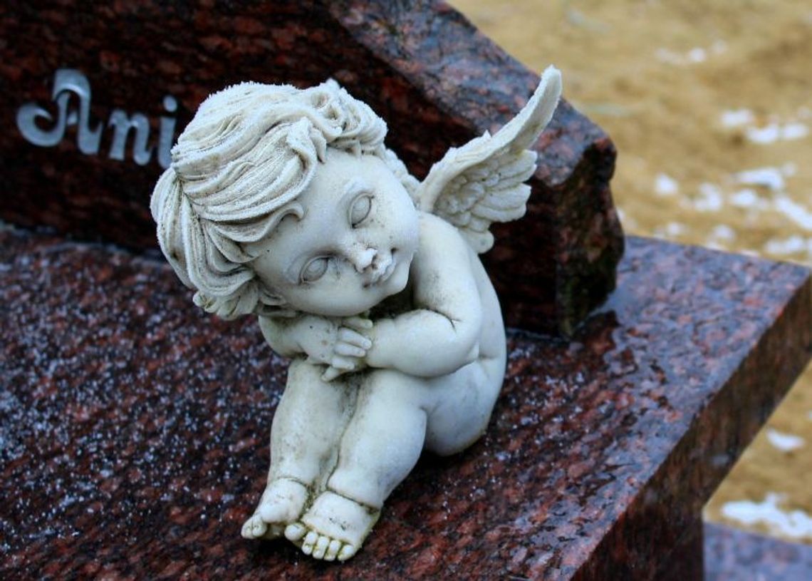 15 października 2025 r. - Ważny dzień w kalendarzu. Dzień Dziecka Utraconego (Dzień Pamięci Dzieci Nienarodzonych i Zmarłych) 15 października 2025 r. - Ważny dzień w kalendarzu. Dzień Dziecka Utraconego (Dzień Pamięci Dzieci Nienarodzonych i Zmarłych)