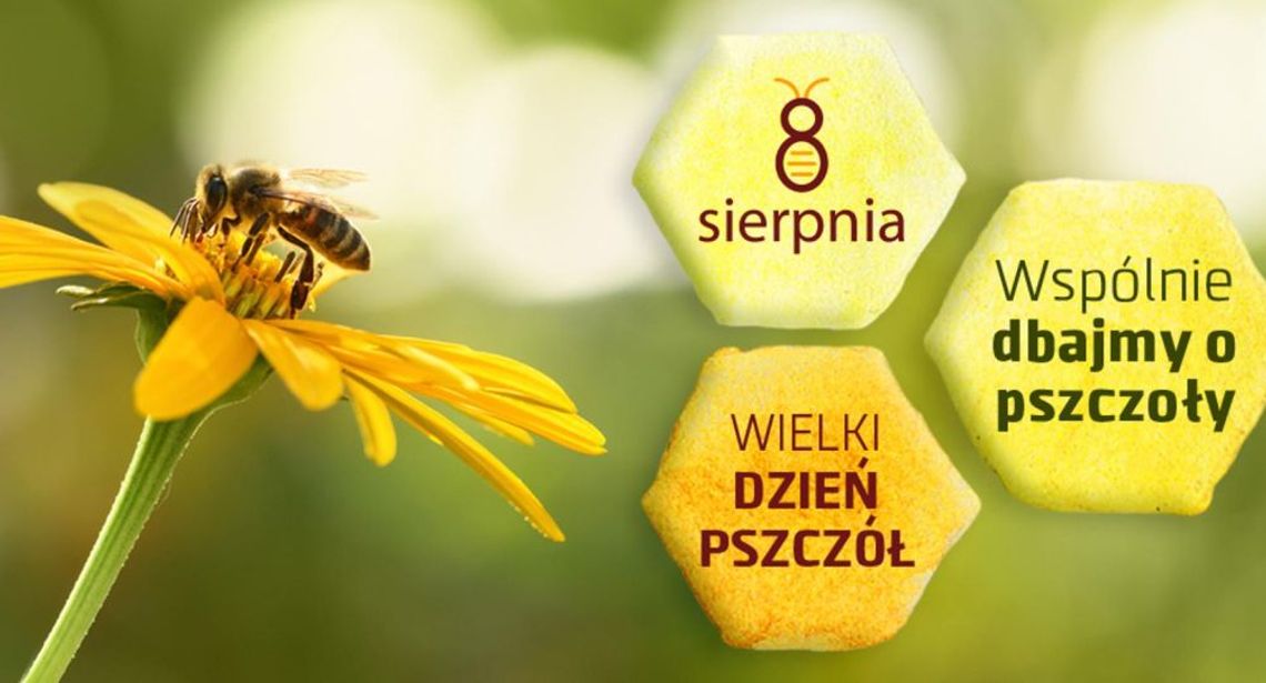 8 sierpnia 2025 r. - Ważny dzień w kalendarzu. Wielki Dzień Pszczół