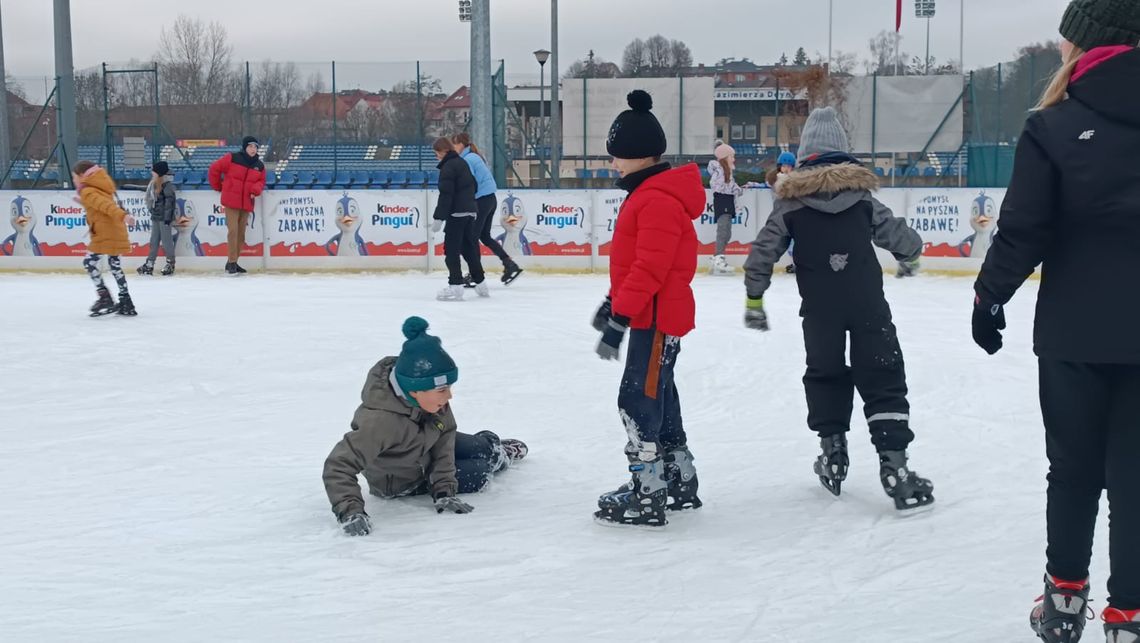 Akademia Pingwinka z OSiR-em