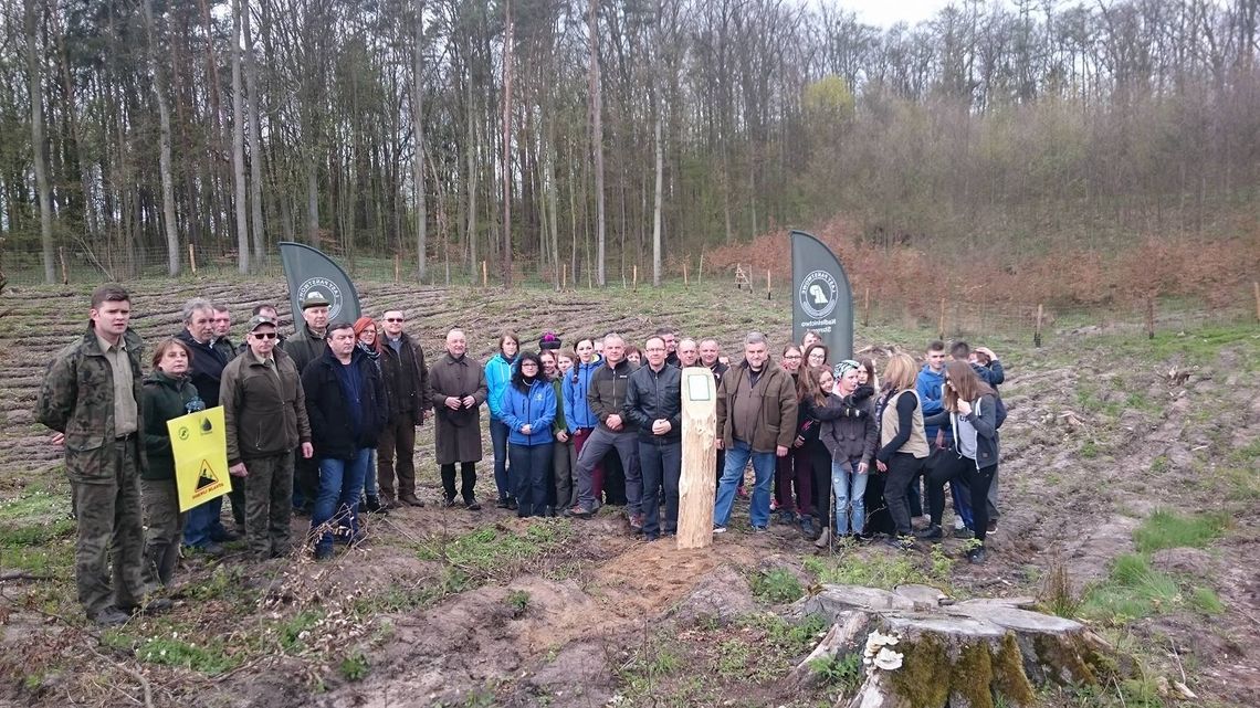 Akcja „100 milionów drzew do 2017 roku” Akcja „100 milionów drzew do 2017 roku”
