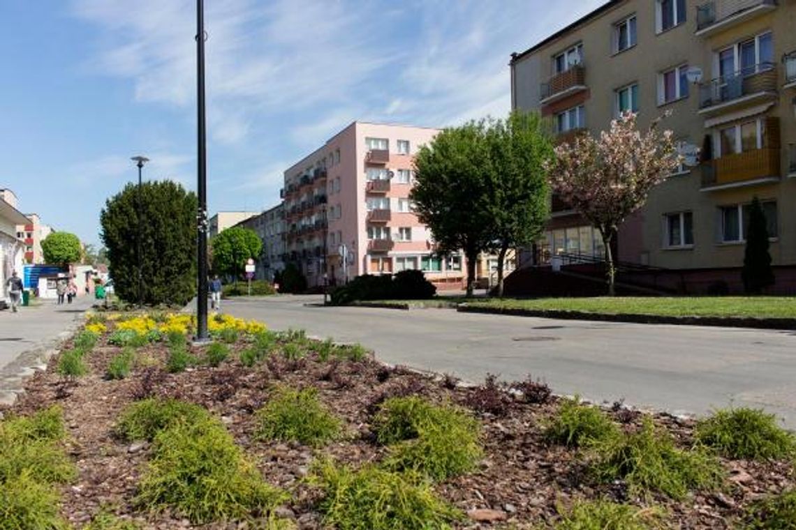 Chcesz mieć głos w sprawie przyszłości Alei Wojska Polskiego? Przyjdź na spotkanie!