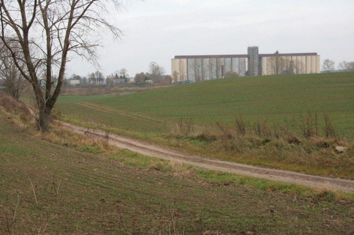 Chleb drożeje!!! Mączno - mięsne zamieszanie  - takich ruchów cenowych na zbożowym rynku nie było od lat 80.