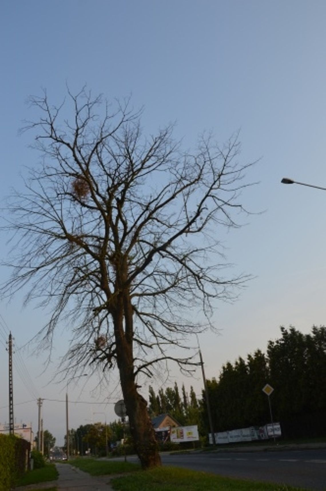 Czekając na tragedię... Suchy problem mieszkańców