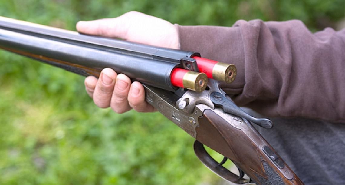 Czy wilk został zastrzelony? Prokuratura prowadzi śledztwo