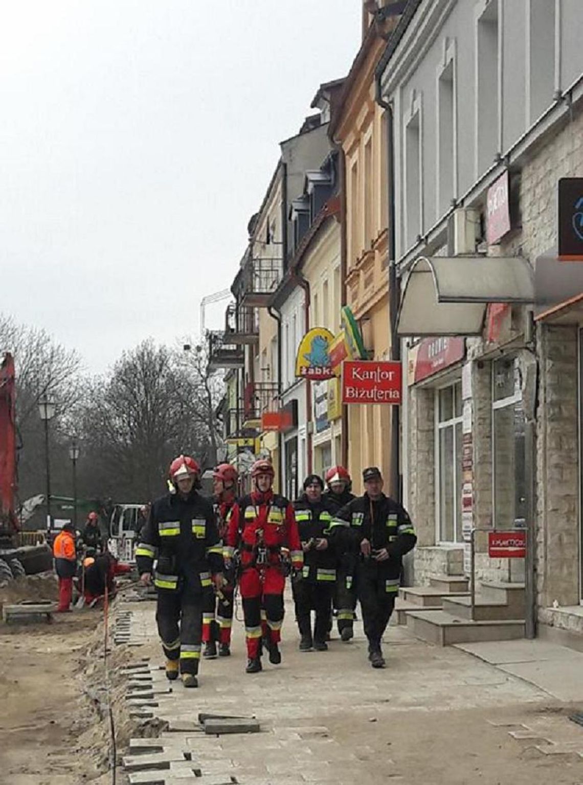 Drapieżny ptak uwięziony w centrum miasta. Na miejsce przybyła specjalna grupa strażaków z Gdyni 