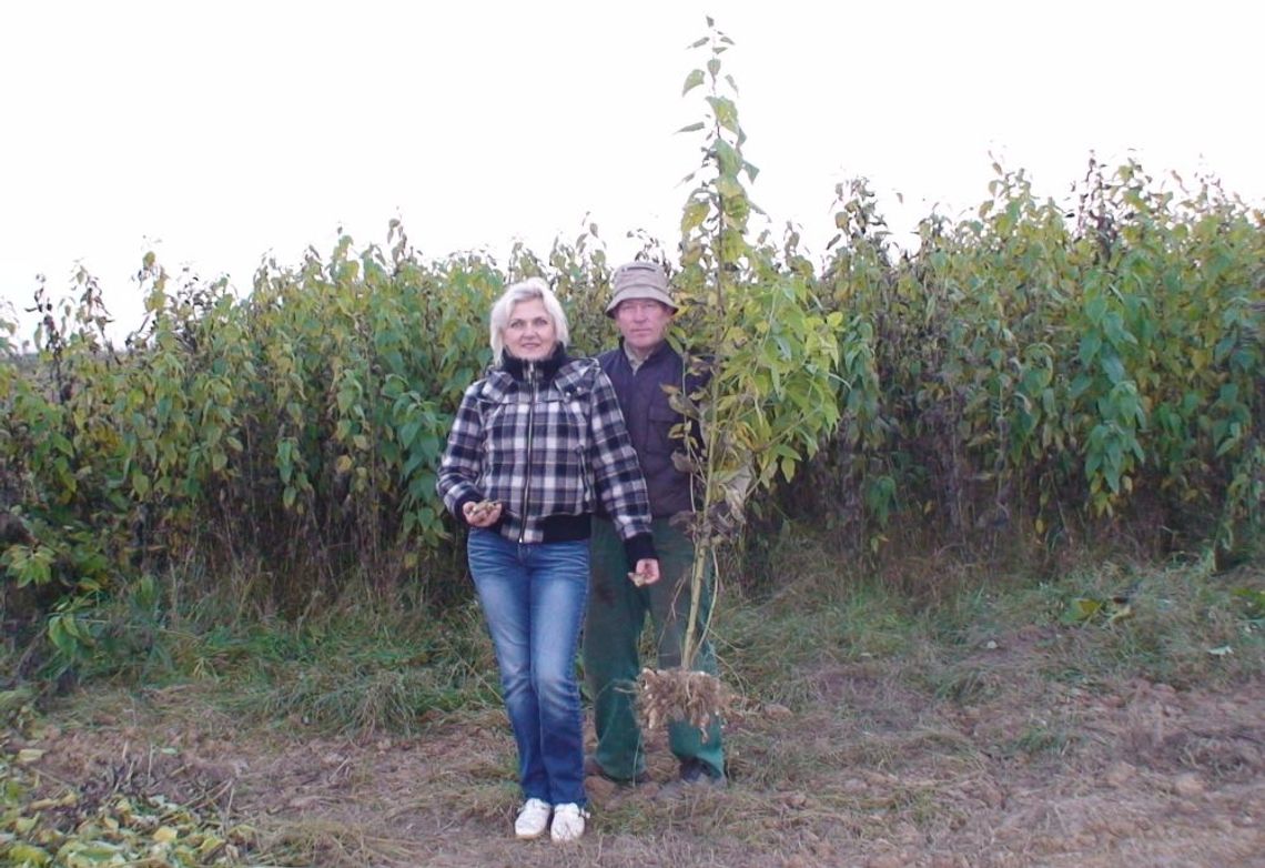 Ekologiczna perełka - cudze chwalicie, swego nie znacie