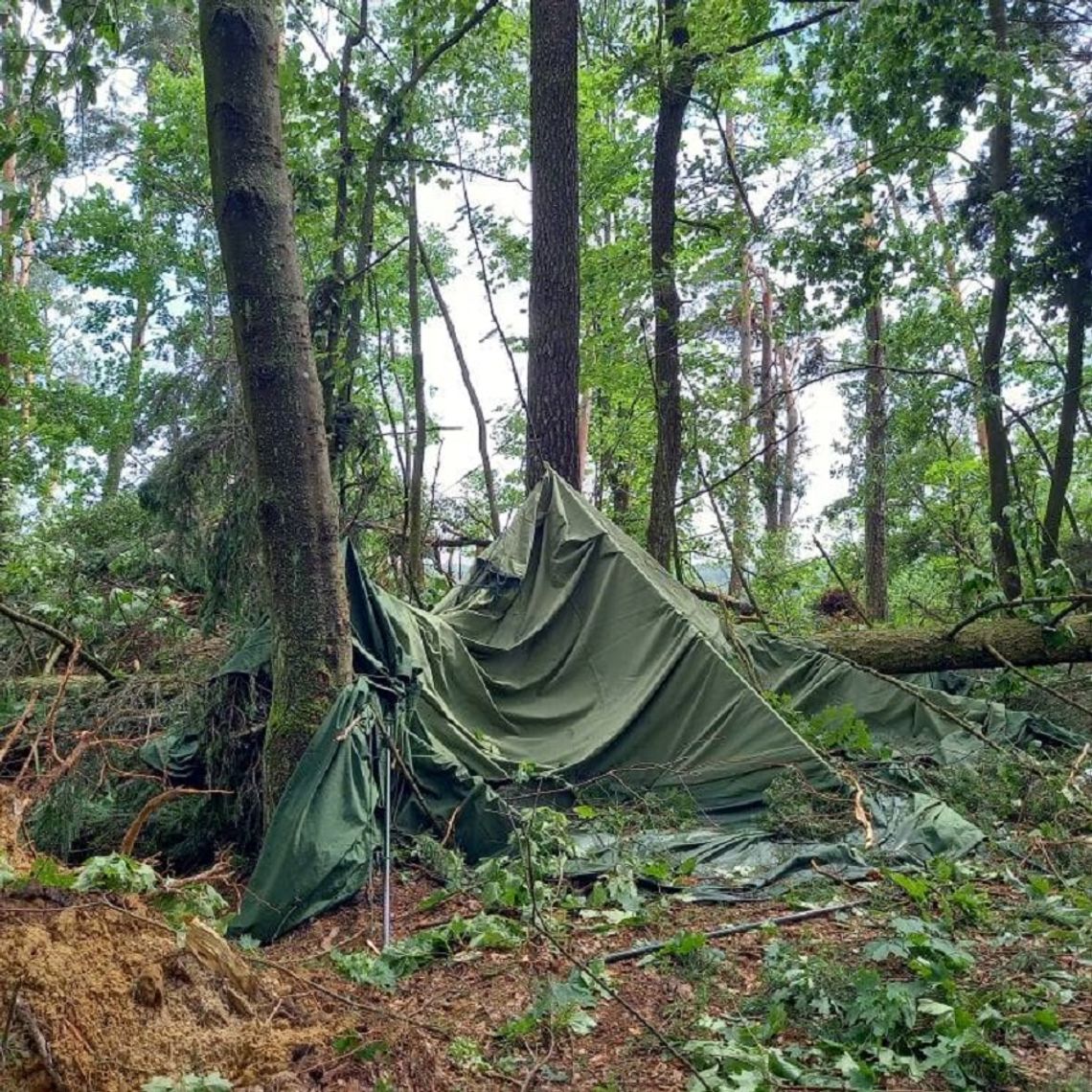 Ewakuacja harcerzy z obozu w Skrzyni. Doszło do zniszczenia bazy, wichura powalała drzewa.
