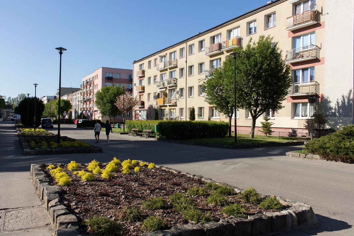 FOTO: Aleja Wojska Polskiego w obiektywie FOTO: Aleja Wojska Polskiego w obiektywie