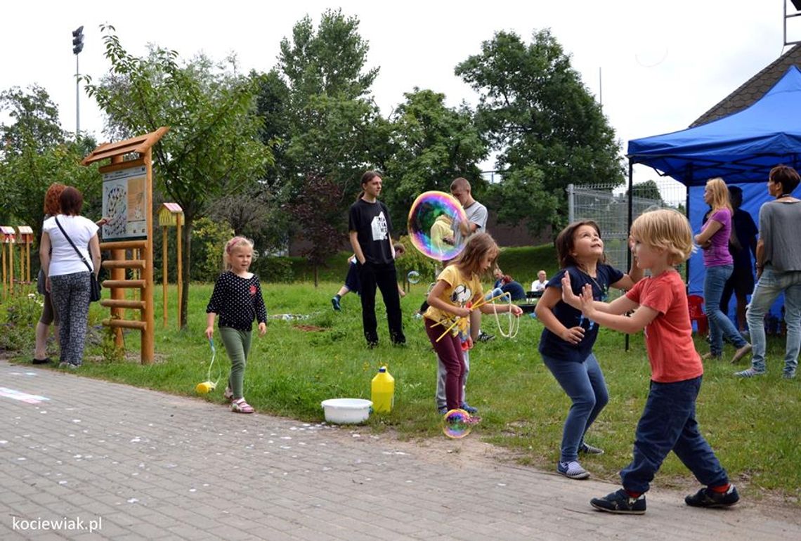 FOTO: Otwarto starogardzką Motylówkę. Sprawdź, gdzie ją znaleźć! FOTO: Otwarto starogardzką Motylówkę. Sprawdź, gdzie ją znaleźć!