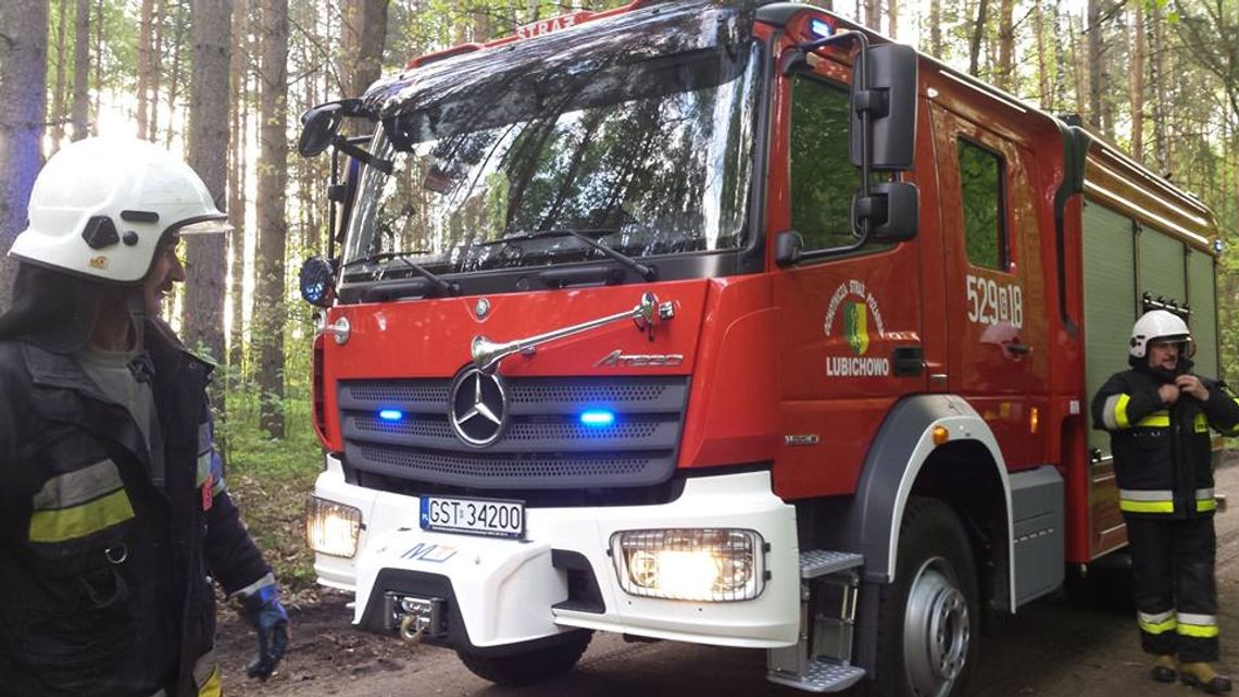 FOTO: Pracowity poranek - usuwali powalone drzewo 