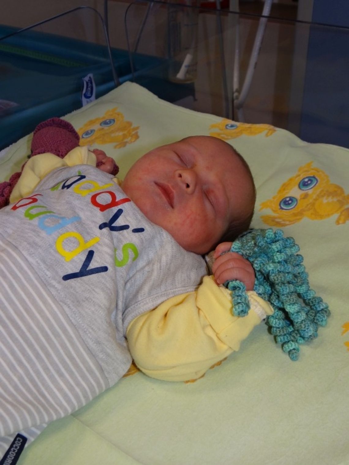 FOTO: Prezent dla wcześniaków. Wyjątkowe ośmiorniczki dla najmniejszych pacjentów FOTO: Prezent dla wcześniaków. Wyjątkowe ośmiorniczki dla najmniejszych pacjentów