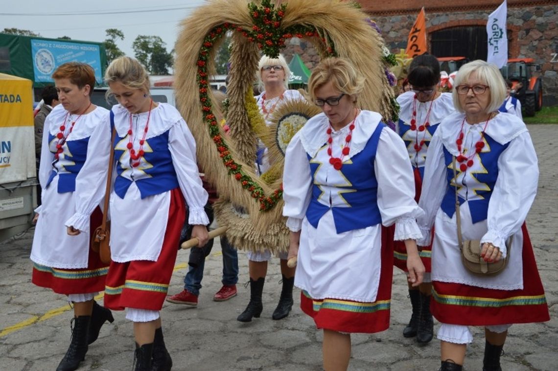 FOTO: Tłumy mieszkańców na Święcie Plonów, wystawie i targach 