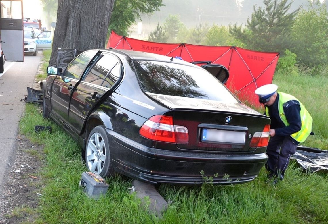 FOTO: Tragiczny wypadek na krajowej „22”. Kierowca chciał ominąć sarnę... Zginął 29-letni pasażer 