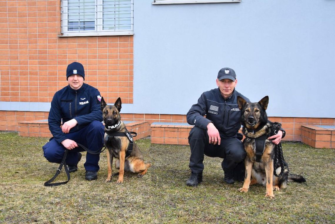 [FOTO] Wspólne szkolenie przewodników psów specjalnych