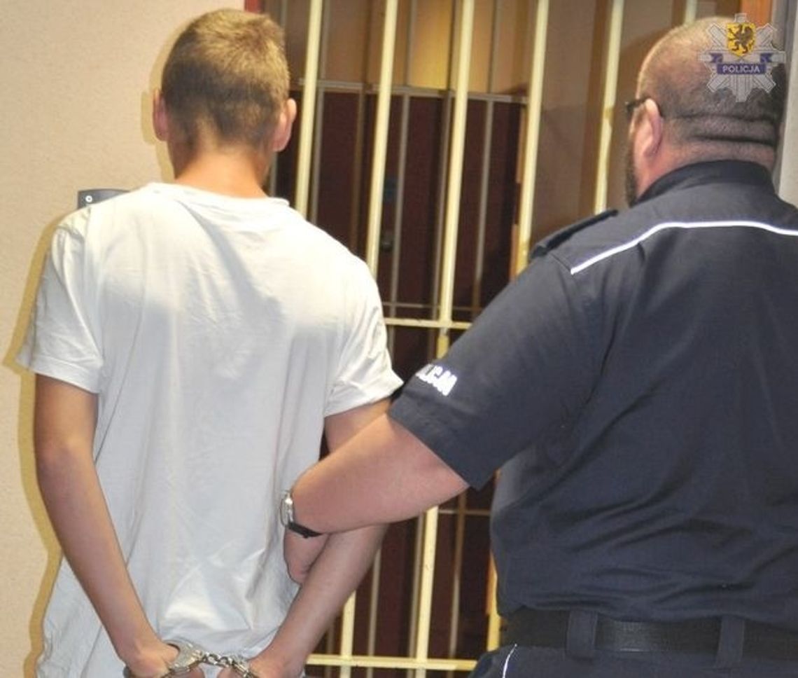 Grasował na działkach i okradał altany. 19-latkowi grozi do 10 lat pozbawienia wolności 