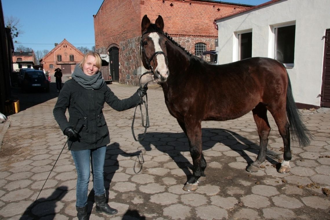 Holsztyn podobał się na pokazie