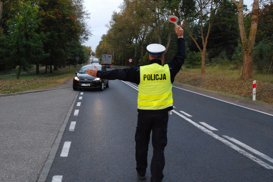 Jest bezpieczniej na Pomorzu. Policjanci przeprowadzili akcję "Bezpieczny Pieszy" Jest bezpieczniej na Pomorzu. Policjanci przeprowadzili akcję "Bezpieczny Pieszy"
