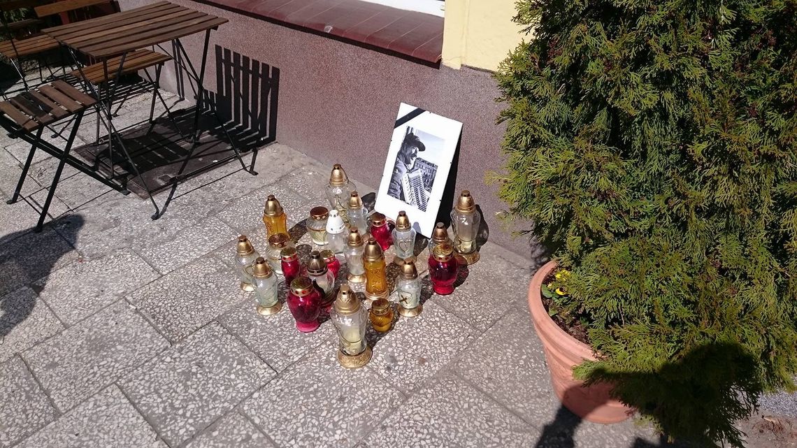 Już jutro pogrzeb "grajka z Rynku". Mieszkańcy chcą upamiętnić jego niezwykłą osobę Już jutro pogrzeb "grajka z Rynku". Mieszkańcy chcą upamiętnić jego niezwykłą osobę