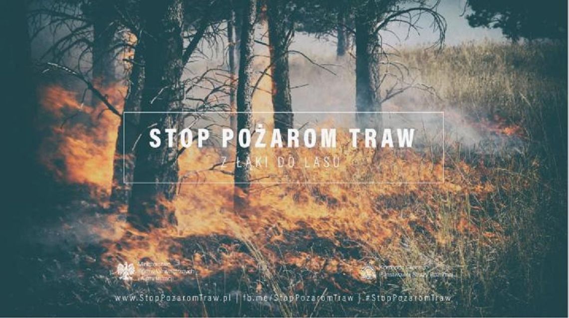 Kampania społeczna – „Stop pożarom traw”