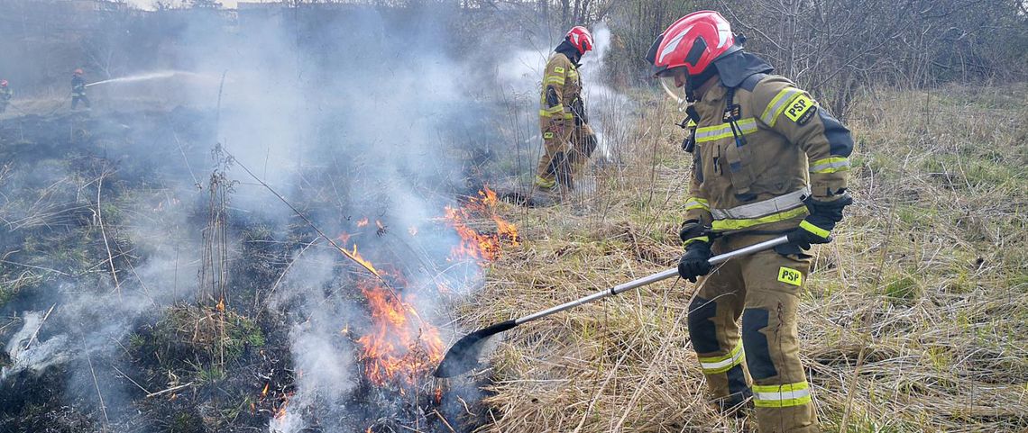 Każdego roku strażacy odnotowują setki pożarów traw. STOP wiosennemu wypalaniu traw! 