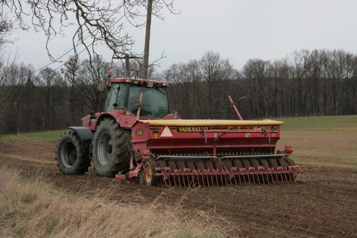 Klęska w rolnictwie. Zboża wymarzły, straty w uprawach