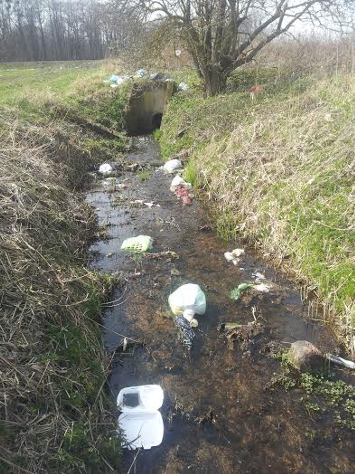 Kociewie tonie w śmieciach. Dbanie o naturę to sprawa nas wszystkich Kociewie tonie w śmieciach. Dbanie o naturę to sprawa nas wszystkich