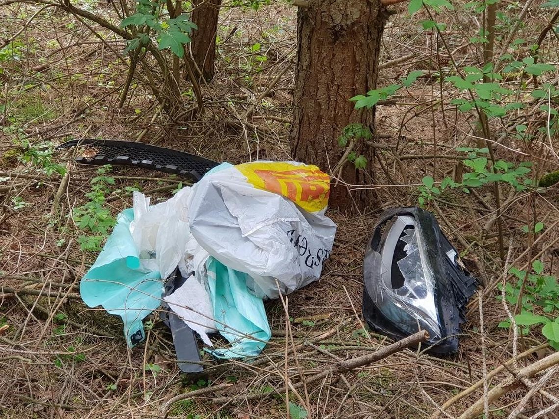 Kociewie tonie w śmieciach. Przybywa nielegalnych wysypisk Kociewie tonie w śmieciach. Przybywa nielegalnych wysypisk