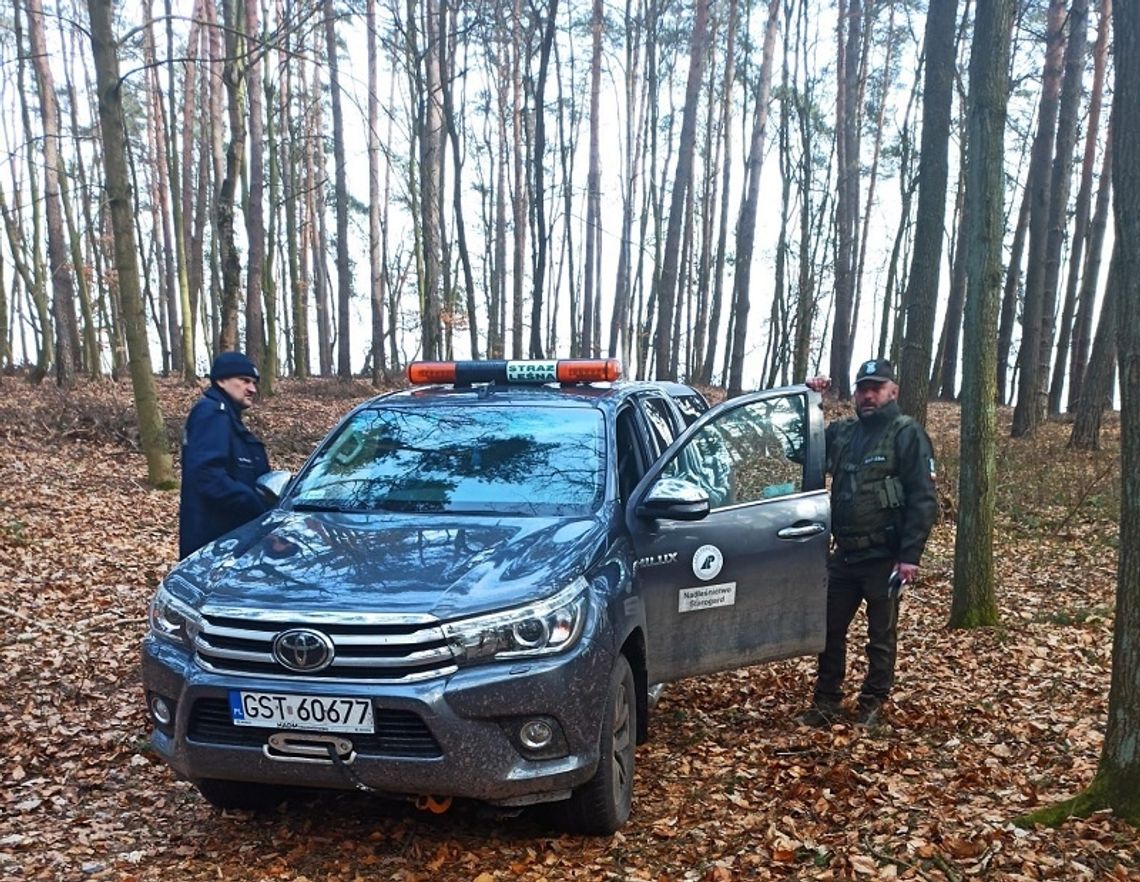 Kradli drewno z lasu. Sprawcy chcą dobrowolnie poddać się karze