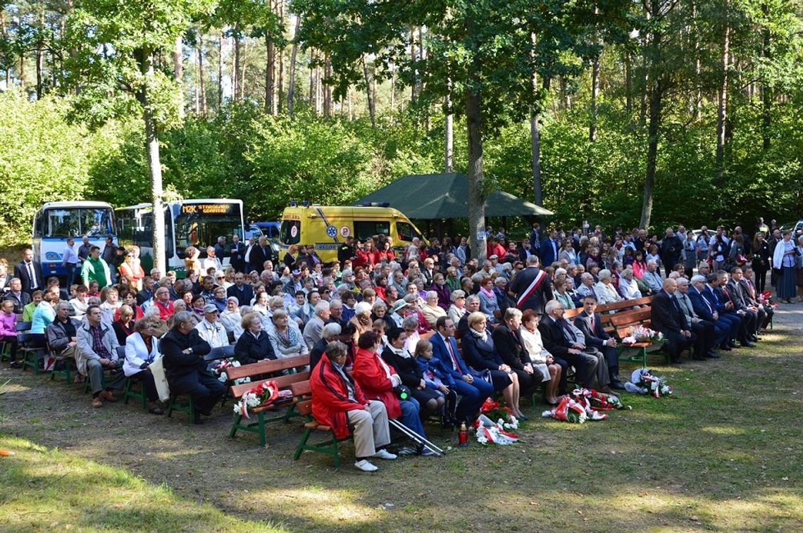 Las Szpęgawski - cichy świadek egzekucji. 77. rocznica Mordu w Lesie Szpęgawskim 
